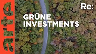 Grüne Geldanlage Nachhaltige Investition in den Wald  ARTE Re [upl. by Eiresed677]