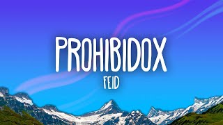 Feid  Prohibidox [upl. by Irmgard]