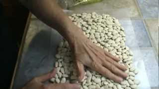 How to Cook Lima Beans [upl. by Hurst396]