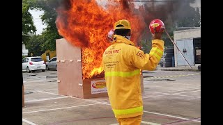 ELIDE FIRE® Extinguishing ball [upl. by Skerl]