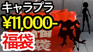 【福袋開封】11000円プラモ福袋を開封！！ガンプラに美プラも！？【謹賀新年】 [upl. by Annavas]