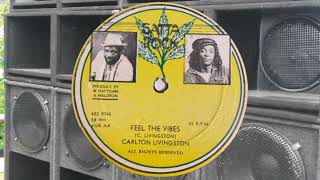 Carlton Livingston  Feel The Vibes [upl. by Sommers]