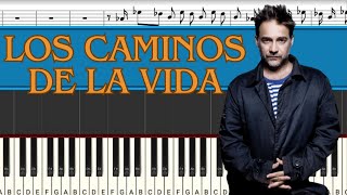 Vicentico  Los Caminos de la Vida Los Diablitos  Piano Tutorial  Midi [upl. by Wilson380]