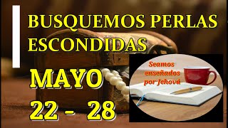 Busquemos perlas escondidas Semana Mayo 22  28 [upl. by Niraj]