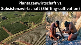 Plantagenwirtschaft vs Subsistenzwirtschaft Merkmale Vorteile  Nachteile Erdkunde Oberstufe [upl. by Shreve674]