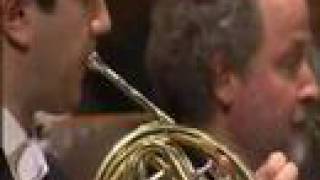 Beethoven 6th Symphony Finale Horn Solo [upl. by Tertias]