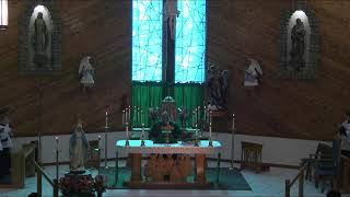 Holy Cross Catholic Church Live Stream [upl. by Hourihan740]