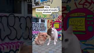 CAT MEMES 🐱Diverse types of couples at school catmemes relatable relationship [upl. by Acireh154]