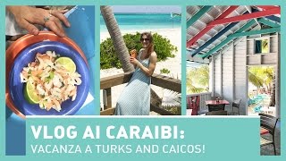 VLOG AI CARAIBI Vacanza a TURKS AND CAICOS [upl. by Aihsema]