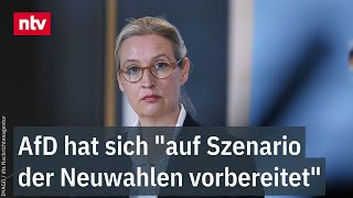 Weidel nach AmpelAus AfD hat sich quotauf Szenario der Neuwahlen vorbereitetquot  ntv [upl. by Ynaitirb]