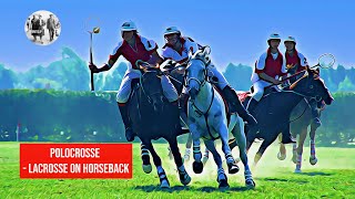 Polocrosse  Lacrosse on horseback [upl. by Eirrok207]