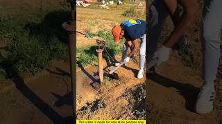 Tube well cemetery is clean 😱❔shorts facts [upl. by Doerrer]