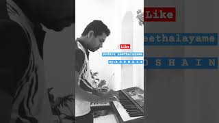 Dampata Handawe දම්පාට හැන්දෑවේ  piano cover 🎹 piano pianocover pianoperformance [upl. by Anilasor]