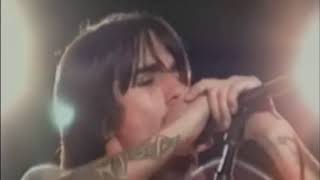 Red Hot Chili Peppers  Venice Queen  Live MTV Jammed 2002 [upl. by Vyky70]