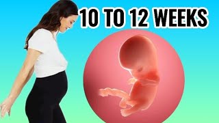 WEEK BY WEEK PREGNANCY 10 TO 12 WEEKS FETAL DEVELOPMENT  KNOW THE BABY GENDER [upl. by Odlabu]