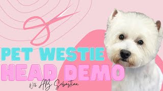 How to Groom a Westie Face [upl. by Jael]