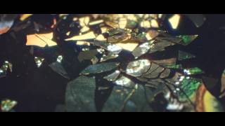 Max Cooper  Supine Official video by Tom Geraedts [upl. by Akiehsal]