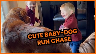 Toddler And Dog Play Chase 🥰  PAWSOME PETS [upl. by Banquer]