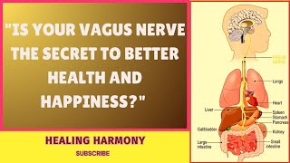 Are You Unlocking the Healing Power of Your Vagus Nerve [upl. by Ynar393]