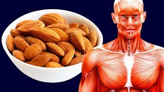 What Will Happen If You Eat 20 Almonds Every Day [upl. by Elpmid]