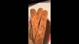 Baguette au Thermomix [upl. by Yvehc50]