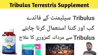 Tribulus Terrestris Supplement Health Benefits For Men  Testosterone booster Dosage amp side effects [upl. by Kcinimod]