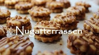 Plätzchen backen  ♥♥♥ Rezept Nugatterrassen ♥♥♥ [upl. by Lauder]