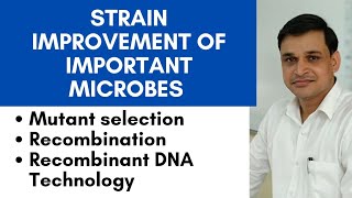 Strain improvement of important microorganisms  Mutant selection  Recombination  RDT [upl. by Lidda]