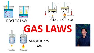 Gas Laws  Boyles Law  Charles Law  Amontons Law [upl. by Arebma947]