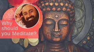 Why Should You amp Everyone You Know MEDITATE  Gurudev Sri Sri Ravi Shankar [upl. by Haimehen]