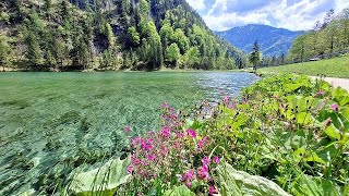 Förchensee  Gemeinde Ruhpolding Bayern [upl. by Adela45]