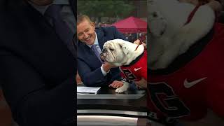 Lots to HEAR about Georgia in todays best of College GameDay picks 😂 shorts Coorslight [upl. by Hanshaw]