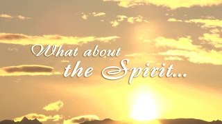 What about the Spirit From The Meaning of Life Immortality program [upl. by Aihsram274]