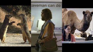 Memorable GEICO Commercials  Compilation [upl. by Baskett541]