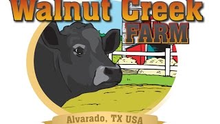 Walnut Creek Farm Texas  Alvarado TX [upl. by Aniakudo]