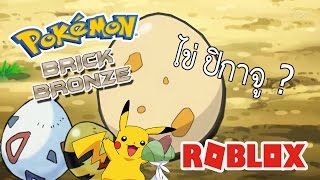 สอนทำ โปเกม่อน ให้ออกไข่   Roblox  Pokemon Brick Bronze [upl. by Ing]