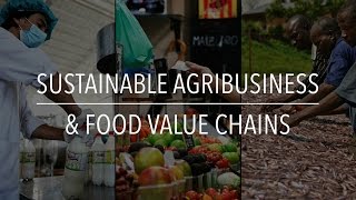 FAO Policy Series Sustainable Agribusiness amp Food Value Chains [upl. by Solotsopa]