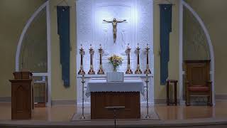 Adult Faith Formation The Sacraments Chapter 1 Efficacious Signs of Grace [upl. by Adriana]