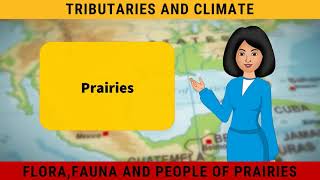 The Prairies  Life in the Temperate Grasslands  Geography Class 7 Chapter 9 [upl. by Mutat]