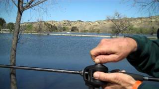 How To Adjust A Baitcasting Reel [upl. by Reginauld278]