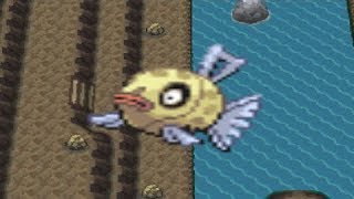 How to find Feebas in Pokemon Diamond and Pearl [upl. by Anayt622]