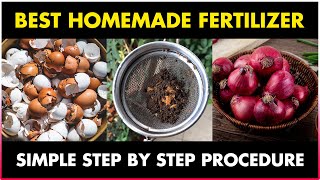 How to make Organic Fertilizer using Eggshells Onion peels and Tea waste at Home for Plants [upl. by Suirradal23]