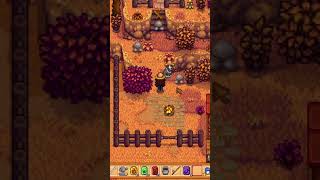 chorizo loves it  Stardew Valley [upl. by Gildus]