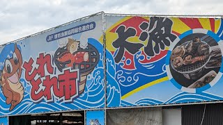 大阪 堺市 とれとれ市に行く Toretore Market Sakai City Osaka [upl. by Bozovich]