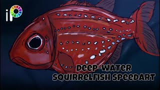 Deepwater squirrelfishSquirrelfish sp speedart [upl. by Rianon977]