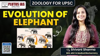 PLUTUS IAS  Zoology for UPSC  Evolution of Elephant Explained  Shivani Sharma upsc zoology [upl. by Anna-Maria]