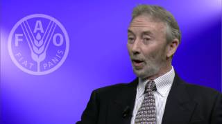 FAO expert on Voluntary Guidelines and the private sector [upl. by Ogeid]