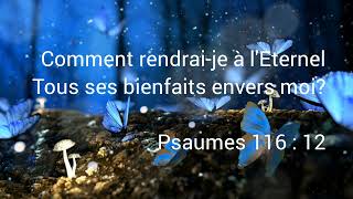 Comment rendre grâce à DieuPrière de remerciement à DieuActions de grâceMerci Seigneur [upl. by Nolos]