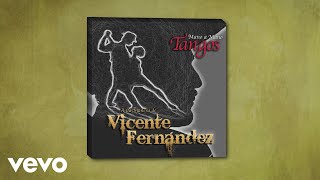 Vicente Fernández  El Día Que Me Quieras Cover Audio [upl. by Idarb]