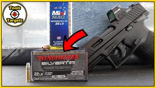 Segmenting 22lr SelfDefense KINGWinchester Silvertip vs CCI Segmenting HP AMMO Test [upl. by Otxis]